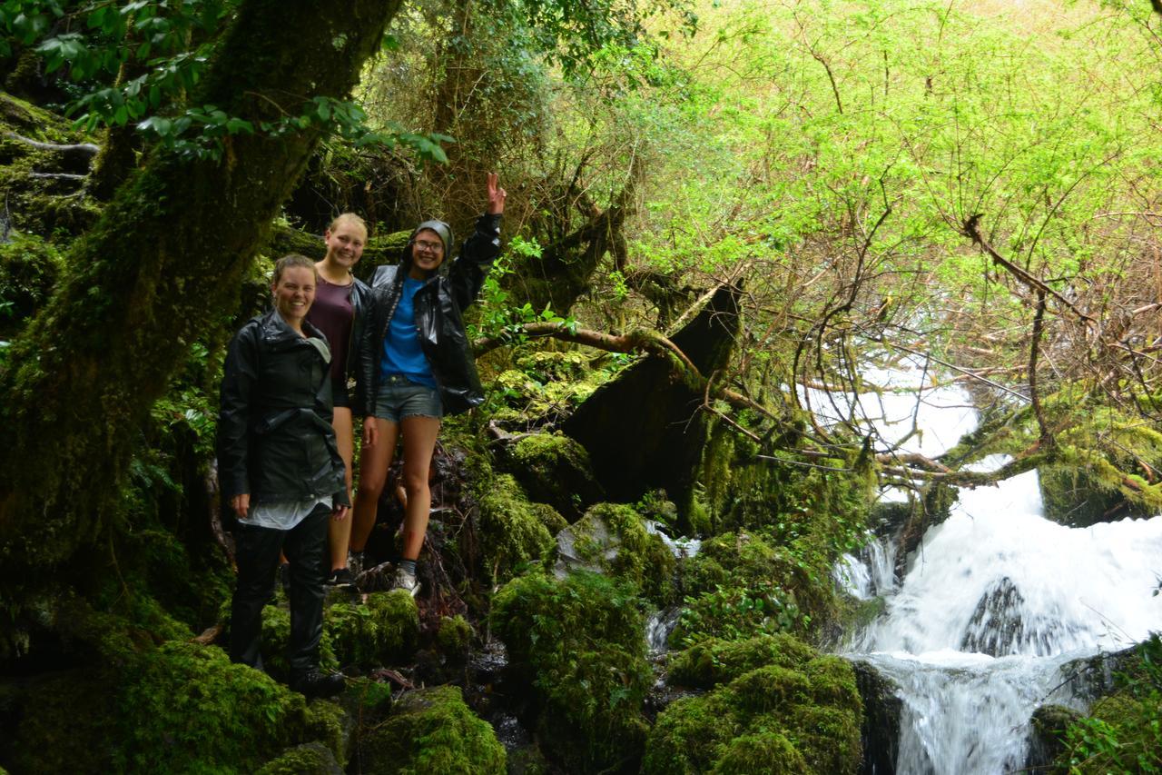 Rio Libre Pucon Party Hostel מראה חיצוני תמונה